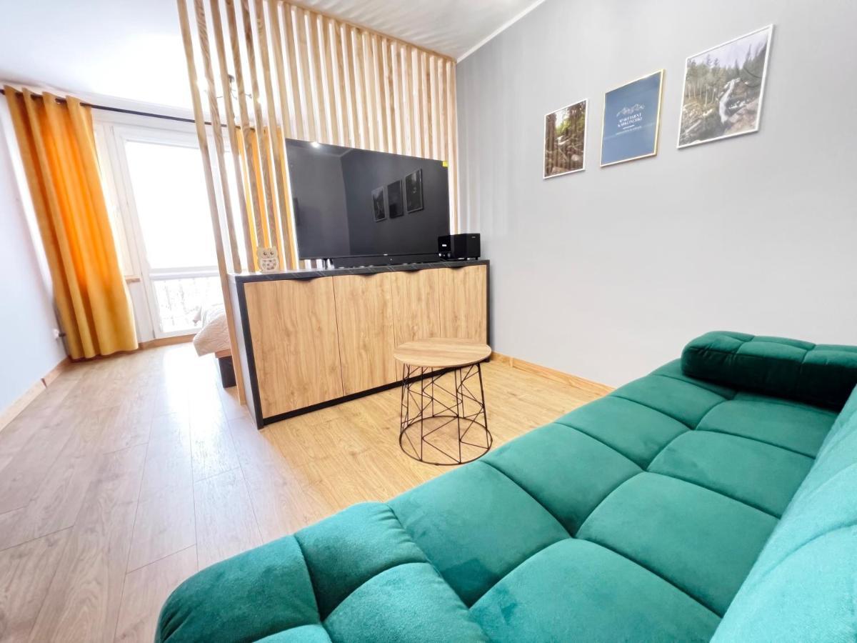 Apartament Karkonoski 佩霍维采 外观 照片